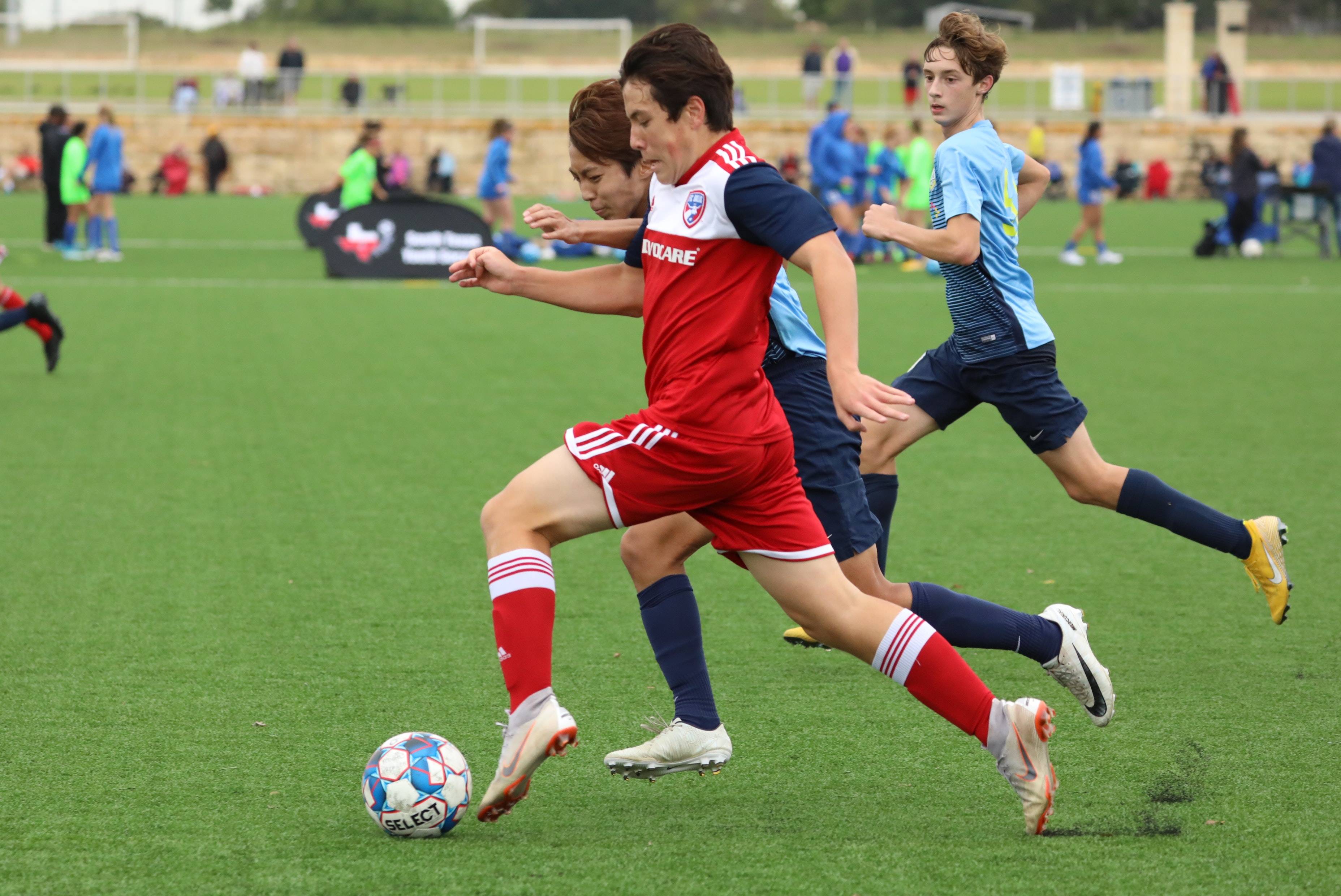 性的机会 性的机会