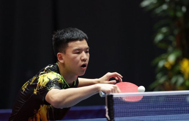 项目上的崛 项目上的崛