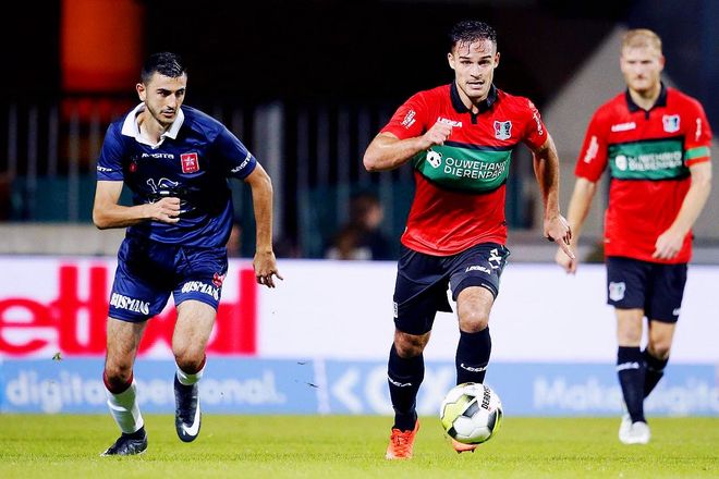 金龙鱼居前 金龙鱼居前