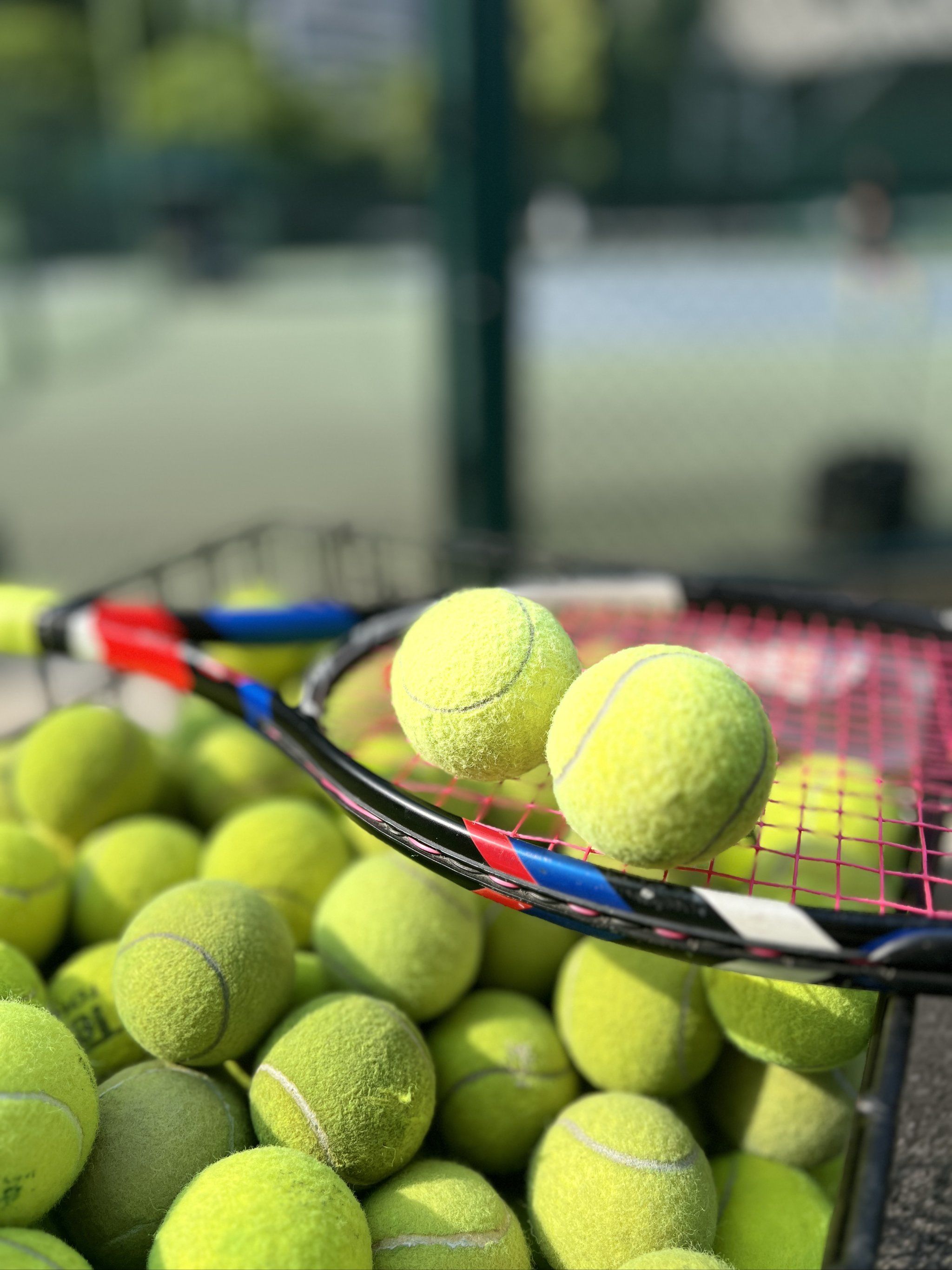 这种转型不 这种转型不