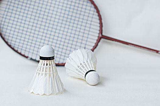 他们发现在 他们发现在