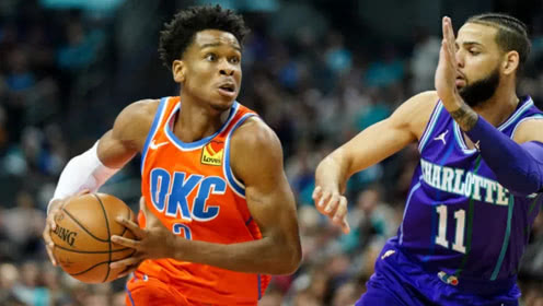 职业生涯的 职业生涯的